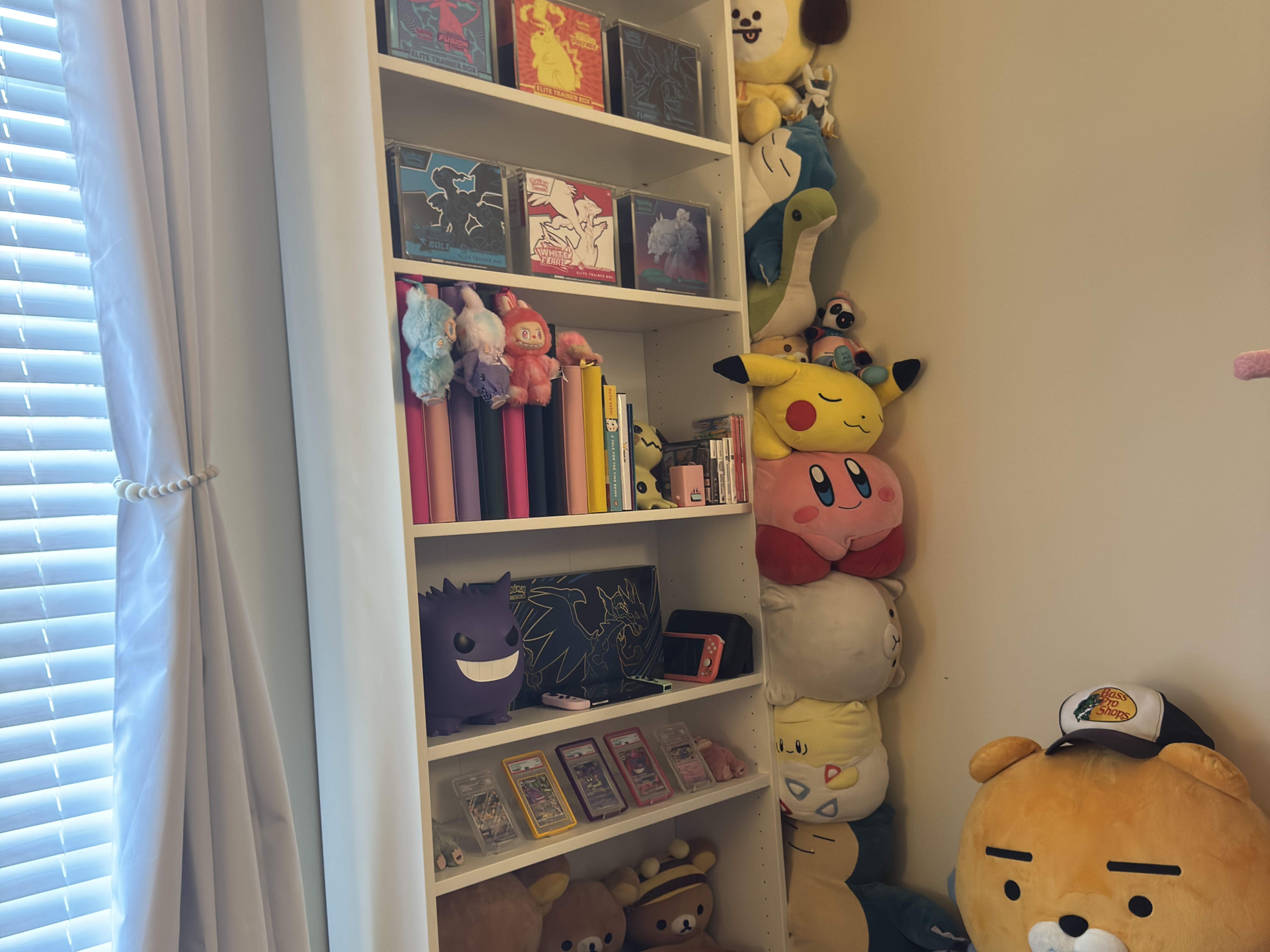 picture of my pokemon collection display.